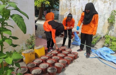 ބޮޑުފޮޅުދޫ ދަރިވަރުން ރޯދައަށް ތައްޔާރު؛ ހެއްދީ ކޮޕީ އާއި ލެޓިއުސް