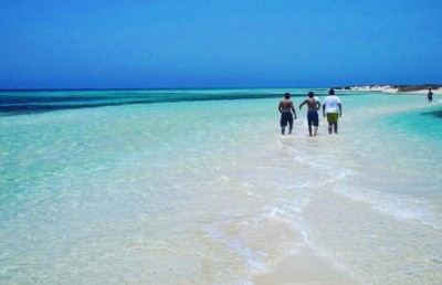 ރެޑްސީ ޕްރޮޖެކްޓުން ރާއްޖެއަށް ގެއްލުމެއް ނެތް: ޑރ. ވަހީދު
