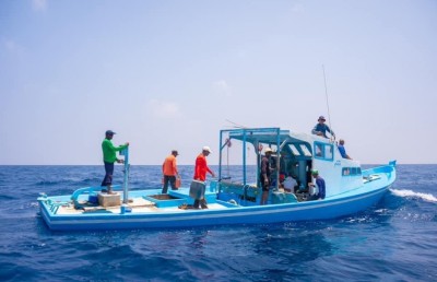 އުތީމުގައި އަދިވެސް މަސްވެރިކަން ކުރަނީ 20 އަހަރު ކުރިން އެކަން ކުރި ގޮތަށް