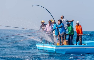 އުތީމުގައި އަދިވެސް މަސްވެރިކަން ކުރަނީ 20 އަހަރު ކުރިން އެކަން ކުރި ގޮތަށް
