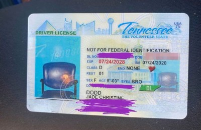 ލައިންސަންސް ކާޑުގެ ފޮޓޯއަކަށް ހުސް ގޮނޑިއެއް!