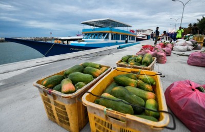 ދަނޑަށް ކެމިކަލް ޖެހުން އެމީހަކާ އެމީހެއް!