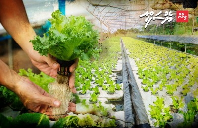 އޯގެނިކް އެއްޗެއް ހެއްދޭކަށް ނެތް، ލިބޭކަށް ވެސް ނެތް!