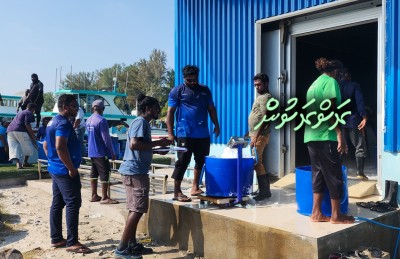ސްކޫލް ނިންމާފައި މަހަށް، އެކަމަކު މިހާރު އެހެން ދިމާއަކަށް!