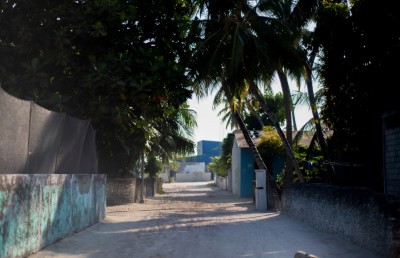 ސްކޫލް ނިންމާފައި މަހަށް، އެކަމަކު މިހާރު އެހެން ދިމާއަކަށް!