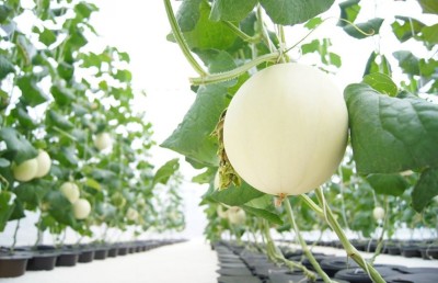 ދަނޑުވެރިކަމުގެ ބާވަތްތައް ޓެސްޓް ނުކުރާތާ އެތައް ދުވަހެއް!