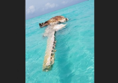 ދިއްފުއްޓަށް ބޮޑުމަހުގެ ބައެއް ކަމަށް ބެލެވޭ އެއްޗެއް ލައްގައިފި