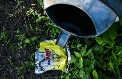 ދަނޑުތައް ވިހަވެފައި، އަހަރެމެން މިކަނީ ރައްކާތެރި އެއްޗެއްތަ؟