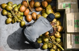 ޓްރެފިކް މެނޭޖުކުރަން މާލޭގެ ބައެއް މަގުތައް ހަތަރު ފުރޮޅުލީ އުޅަނދުތަކަށް ބަންދު