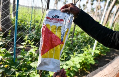 ދަނޑުތައް ވިހަވެފައި، އަހަރެމެން މިކަނީ ރައްކާތެރި އެއްޗެއްތަ؟