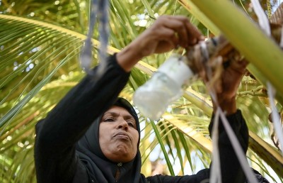 ފިރިހެނުންނަށް ދޫނުކޮށް ފިޔޯރީގެ މި އަންހެނުން ފޯރީގައި ރާވެރިކަމަށް!