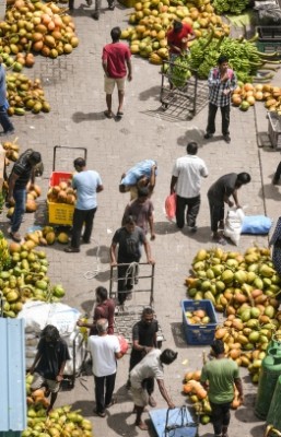 ޓްރެފިކް މެނޭޖުކުރަން މާލޭގެ ބައެއް މަގުތައް ހަތަރު ފުރޮޅުލީ އުޅަނދުތަކަށް ބަންދު