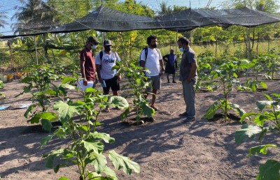 ދަނޑުތައް ވިހަވެފައި، އަހަރެމެން މިކަނީ ރައްކާތެރި އެއްޗެއްތަ؟