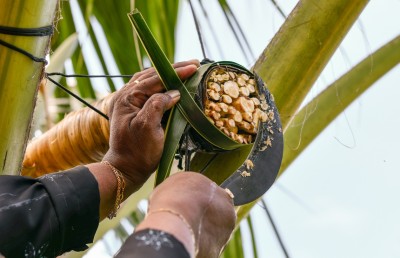 ފިރިހެނުންނަށް ދޫނުކޮށް ފިޔޯރީގެ މި އަންހެނުން ފޯރީގައި ރާވެރިކަމަށް!