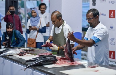 ދިވެހި މަސްވެރިކަން ވެސް، ބިލިއަން ޑޮލަރަށް ނާރަންވީ ކީއްވެ؟