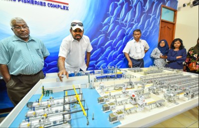 މިފްކޯގެ މުވައްޒަފުންނަށް "ވިސުލްބްލޯ" ކުރެވޭނެ ގޮތް ހަދައިިފި