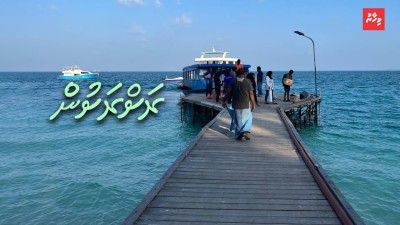 އެކަހެރި މަންދޫގެ "ފިޔަވަޅު": ވިދުން ގެނެވޭނެ ކޮންސެޕްޓެއް