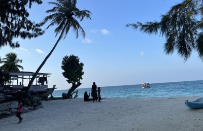 އެކަހެރި މަންދޫގެ "ފިޔަވަޅު": ވިދުން ގެނެވޭނެ ކޮންސެޕްޓެއް
