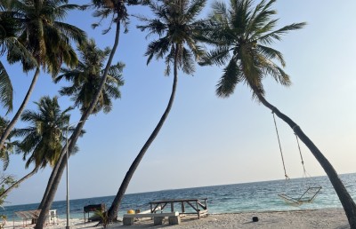 އެކަހެރި މަންދޫގެ "ފިޔަވަޅު": ވިދުން ގެނެވޭނެ ކޮންސެޕްޓެއް