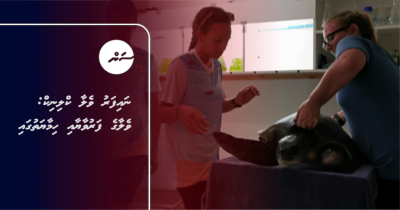 ނައިފަރު ވެލާ ކްލިނިކް: ވެލާގެ ފަރުވާޔާއި ހިމާޔަތުގައި