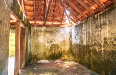 ސާޖިން މަތީރަށްފުޅުގައި: ޝައުގުވެރި ވާހަކައެއް