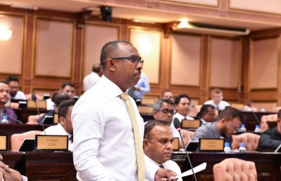 ބިދޭސީންނަށް ރާއްޖޭގެ ރަށްވެހިކަން ދިނުމާ މެދު ތަފާތު ހިޔާލުތަކެއް