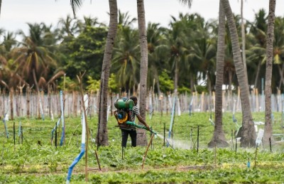 ކެމިކަލް ބޭނުން ނުކޮށް ދަނޑުތައް ހައްދަން ރައީސް އެދިވަޑައިގެންފި