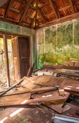 ސާޖިން މަތީރަށްފުޅުގައި: ޝައުގުވެރި ވާހަކައެއް