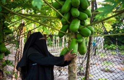 ފޮޓޯ ސްޓޯރީ: ގަދަ ފެހިކަމާއި ފަހިކަން: ޣާލިބާގެ ލޯތްބާ އެކު!