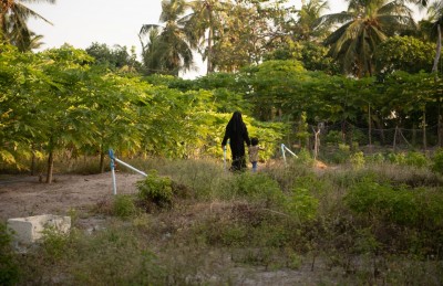 ފޮޓޯ ސްޓޯރީ: ގަދަ ފެހިކަމާއި ފަހިކަން: ޣާލިބާގެ ލޯތްބާ އެކު!