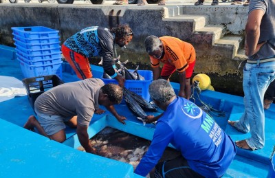 ނިލަންދޫ ރިހާކުރު ފެކްޓަރީ: ފައިސާ އުފައްދާ މެޝިނެއް!