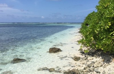 ކޮވިޑް-19: ހޯނޑެއްދޫގެ މިސްކިތްތަކުގައި ނަމާދުކުރުން ހުއްޓާލައިފި