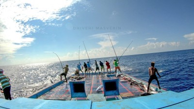 މަސްވެރިކަމުގެ ބިލު މަޖިލީހަށް ބަލައިގެންފި