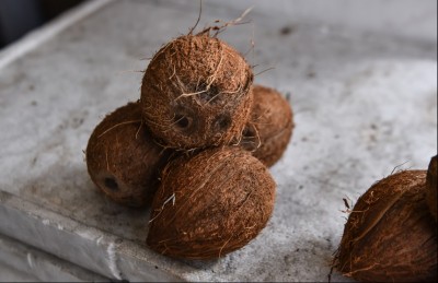 ޗަމްޕާއިން ހަދިޔާކުރި ކާށި މާލޭ ސިޓީ ކައުންސިލުން ބަހަނީ