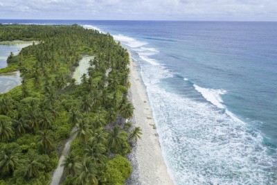 އަނިޔާކޮށް އެއްލާލައިފައިވާ މީހަކު އައްޑޫއިން ފެނިއްޖެ