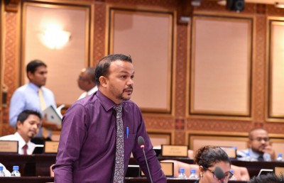 ކަމާނުބެހޭ ފަރާތްތަކަށް ރިލްވާންގެ ރިޕޯޓު ދިނުމަކީ ދެރަކަމެއް: އަލީ ހުސައިން