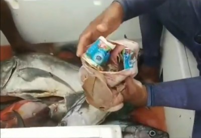 މުޑަހަންޖެއްގެ ބަނޑުގައި އޮތީ ދެ ޔޯގަޓް ތައްޓާއި ކަޕްނޫޑްލްސް ތައްޓެއް!