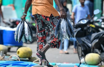 ކަޅުބިލަމަހާއި ކަންނެލި ގަނެވޭނެ އެންމެ ދަށް އަގު ކަނޑައަޅައިފި