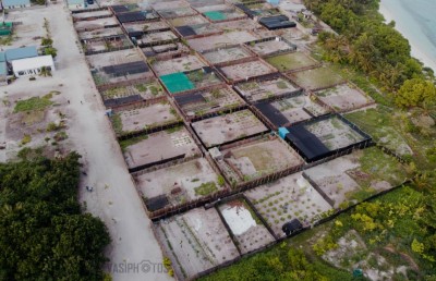 ބަލިމަޑުކަމާ އެކު، އާމްދަނީ ހޯދަން އެހެން ގޮތެއް؛ މާ ކާމިޔާބު!