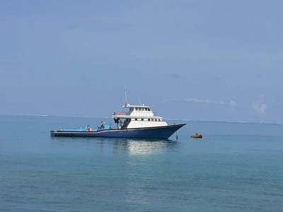 މަލިކު ކައިރިން ހިފެހެއްޓި ދިވެހި މަސްދޯނި ދޫކޮށްލައިފި