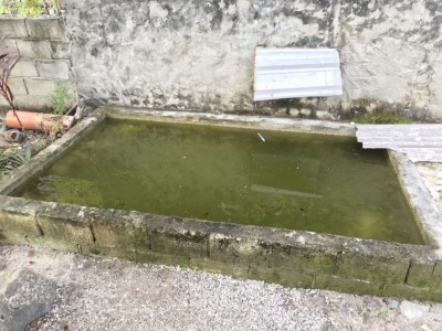 މަސްފެންގަނޑަށް ވެއްޓުނު ކުއްޖާ ކުޑަކޮށް ހަރަކާތް ކުރަން ފަށައިފި