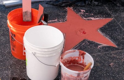 ޓްރަމްޕްގެ "ހޮލީވުޑް ވޯކް އޮފް ފޭމް" އަށް ތިން ވަނަ ފަހަރަށް ގެއްލުން ދީފި