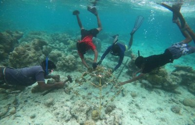 ދަރަނބޫދޫ "އޮޅުކޮޅު" ގައި ޒުވާނުންގެ ބަޔަކު މުރަކަ އިންދައިފި