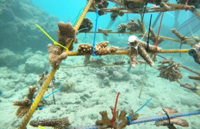 ދަރަނބޫދޫ "އޮޅުކޮޅު" ގައި ޒުވާނުންގެ ބަޔަކު މުރަކަ އިންދައިފި