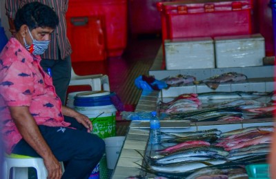 ހުޅުމާލޭ މަސް މާރުކޭޓު ހަވާލުކުރާނެ ބަޔަކު ގުރުއަތުން ހޮވުމުން އޭސީސީ އަށް
