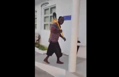 ބޯލްޓް ކަޓަރުން ބުޅި ނެގުމަކީ އާ ކަމެއް ނޫން!