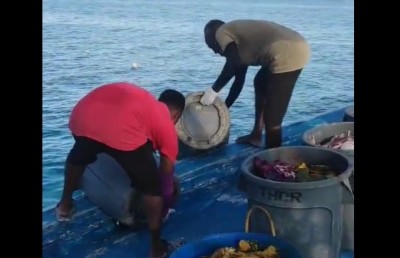 މޫދަށް ކުނި އެޅި އަލިމަތާ ރިސޯޓުގެ ޖޫރިމަނާ ކުޑަކޮށް ދީފި
