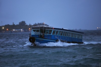 ރާއްޖޭގެ ބޮޑު ބަޔަކަށް ޔެލޯ އެލާޓް ނެރެފި