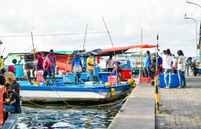 މަސްވެރިކަމަށް މަލިކު މީހުން ގެންނަނީ، މިއީ ރަނގަޅު ބަދަލެއް!