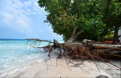 ކުދި ގިނަ ހާދިސާތަކެއް، ގެއްލުން ސުނާމީއާ އެއްވަރު